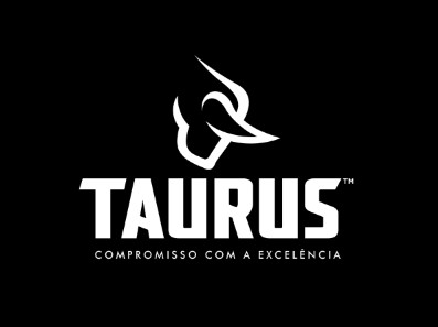 É hora de comprar ações da Taurus?